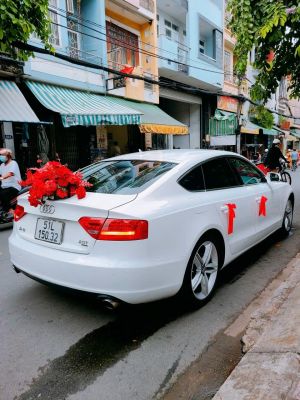 Xe Hoa Audi A5