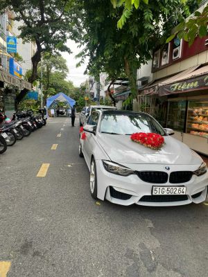 Xe Hoa BMW 320i