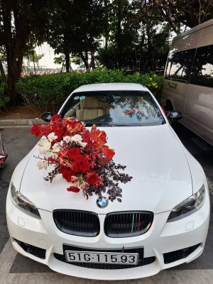 Xe Hoa Mui Trần BMW 