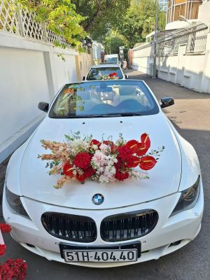 Xe Hoa Mui Trần BMW 