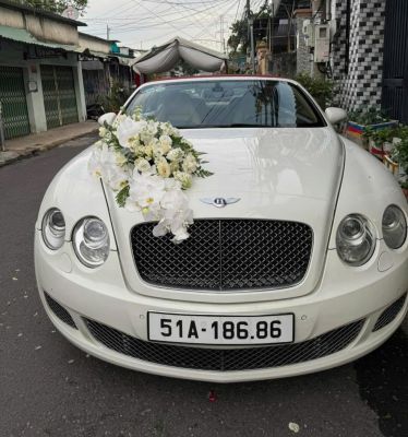 Xe Hoa Mui Trần Bentley V12 