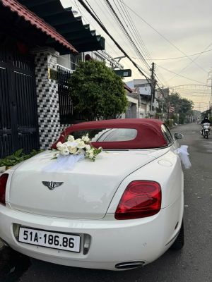 Xe Hoa Mui Trần Bentley V12 