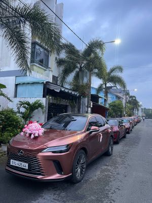 Xe Hoa Rước Dâu Màu Đỏ  Xe Đoàn